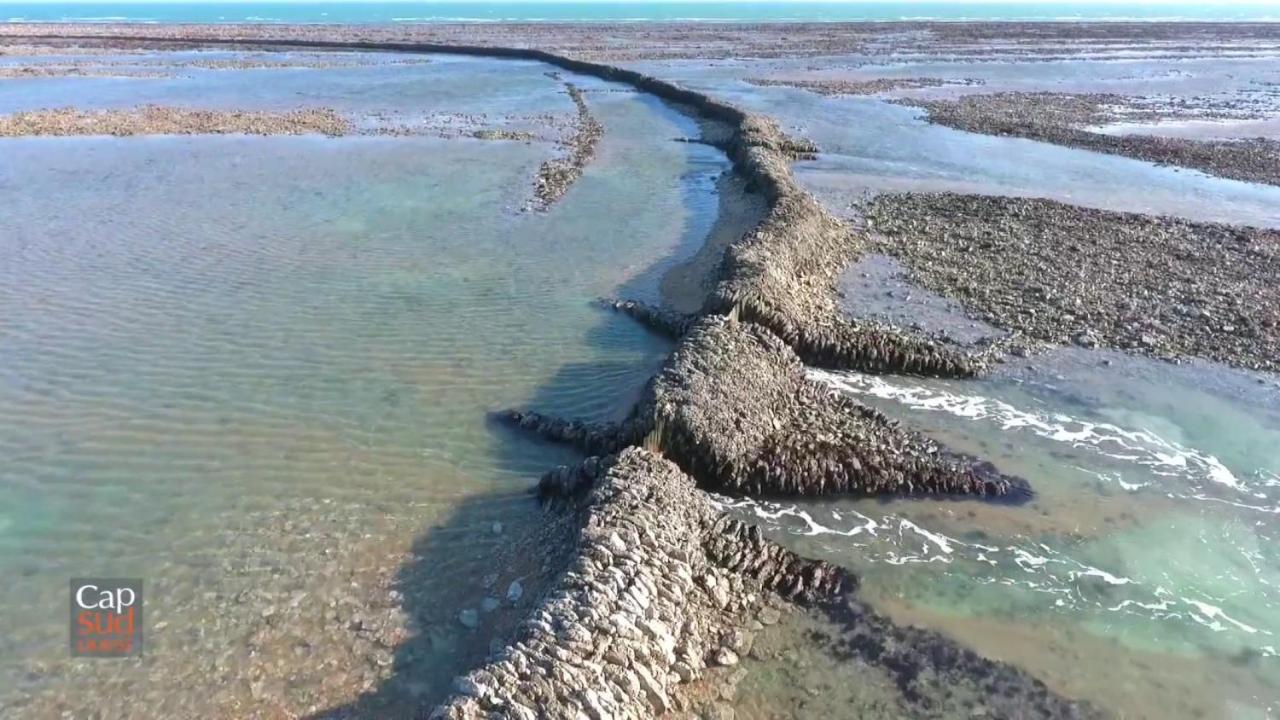 Les Pieds Dans L'Eau Acces Direct A La Plage La Cotiniere Luaran gambar