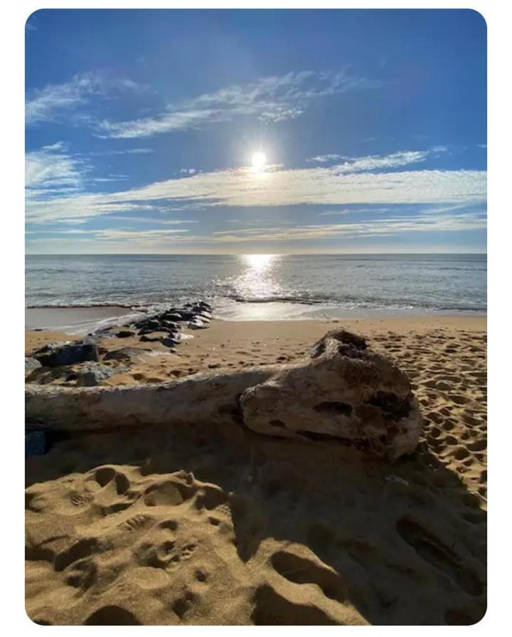 Les Pieds Dans L'Eau Acces Direct A La Plage La Cotiniere Luaran gambar