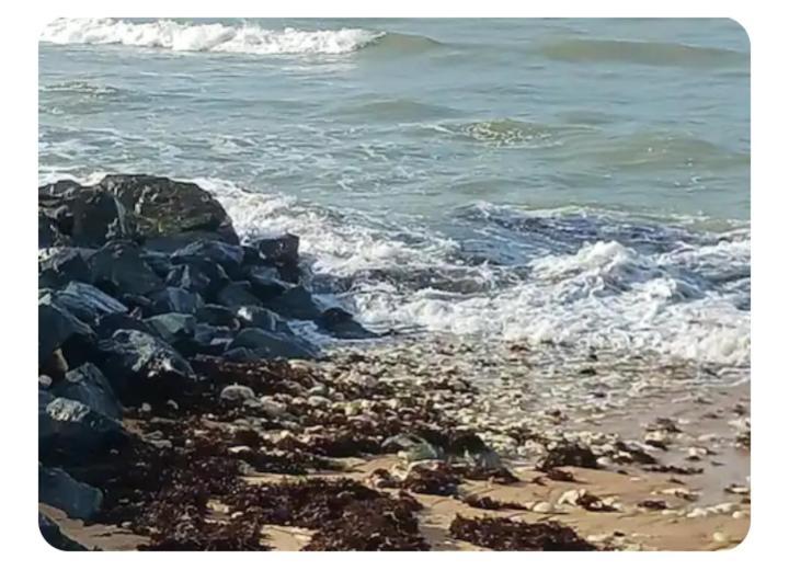 Les Pieds Dans L'Eau Acces Direct A La Plage La Cotiniere Luaran gambar